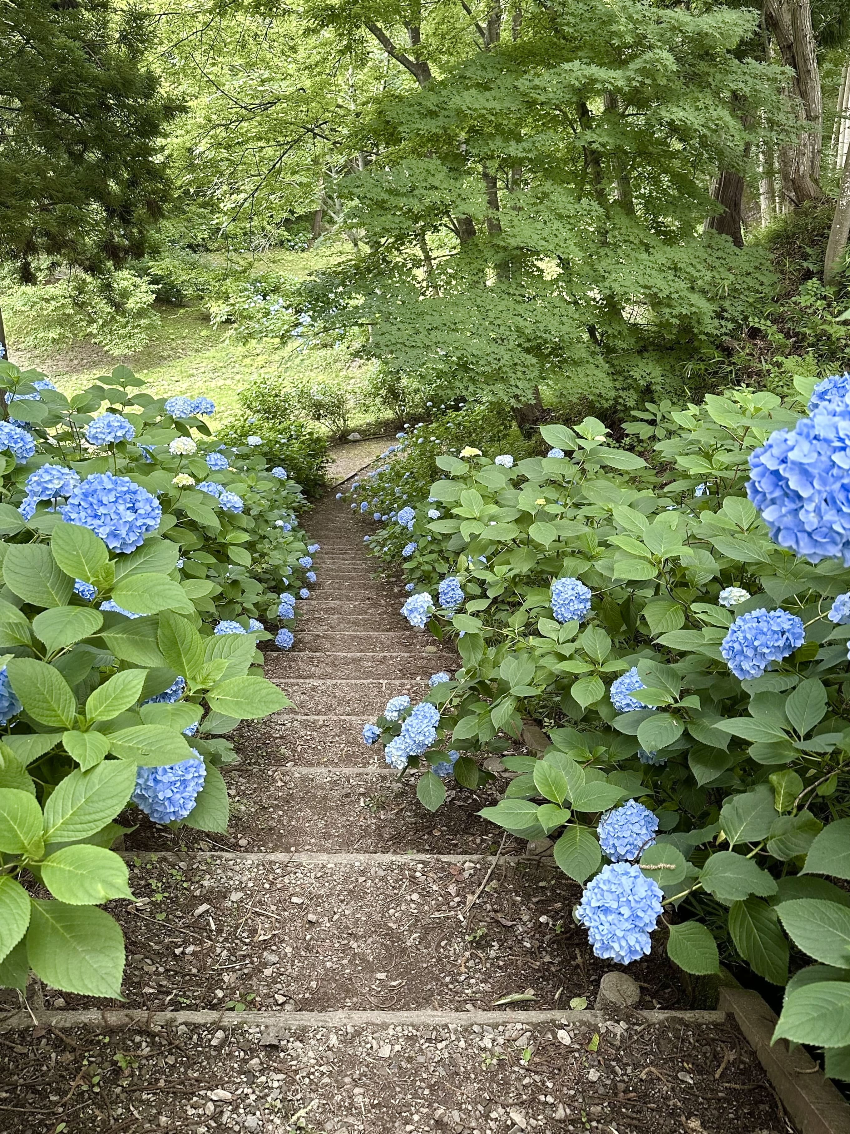 No.99 土合舘公園