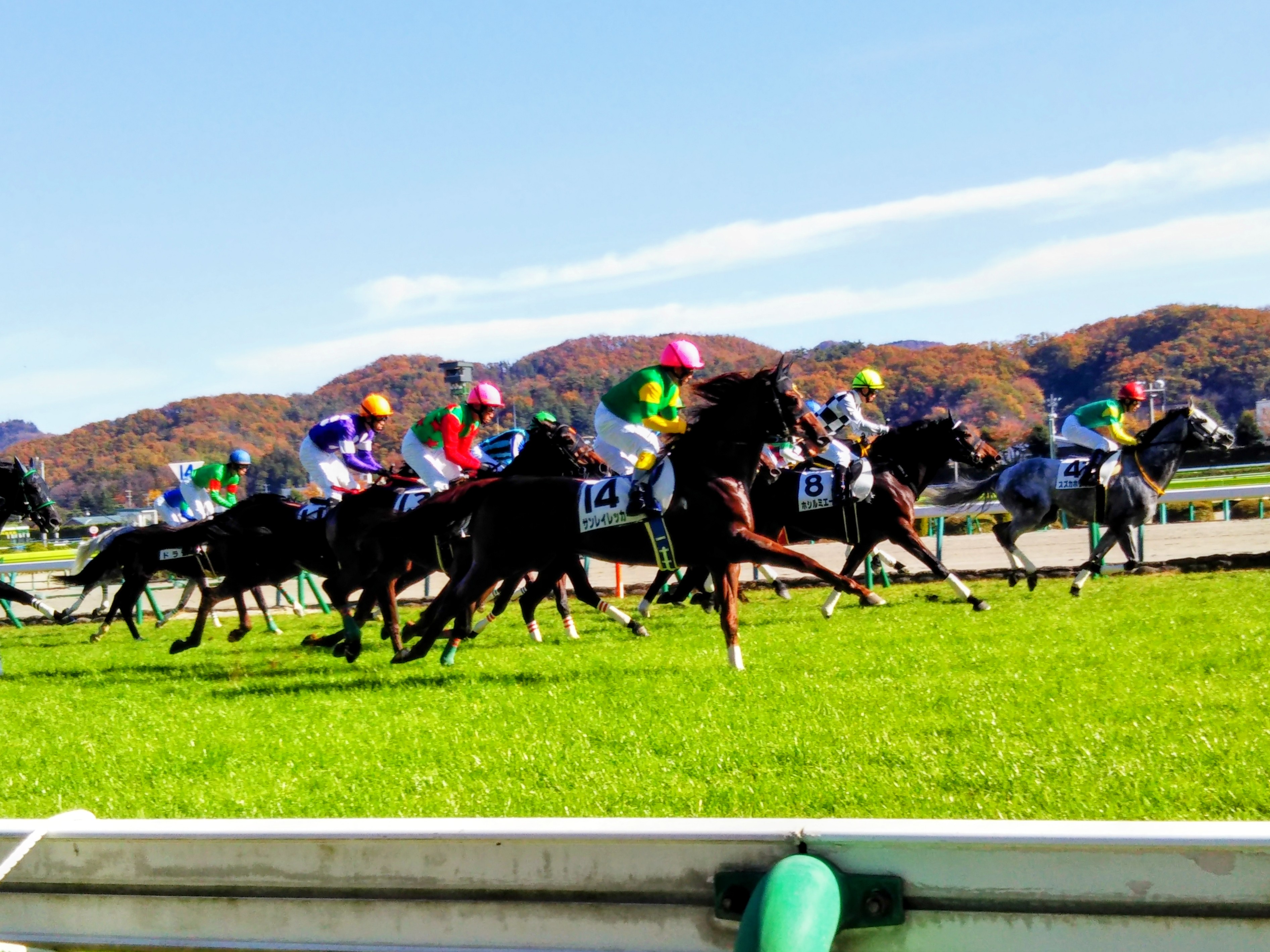 No.135 福島競馬場