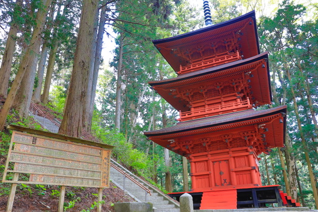 No.117 木幡山 三重塔(隠津島神社)