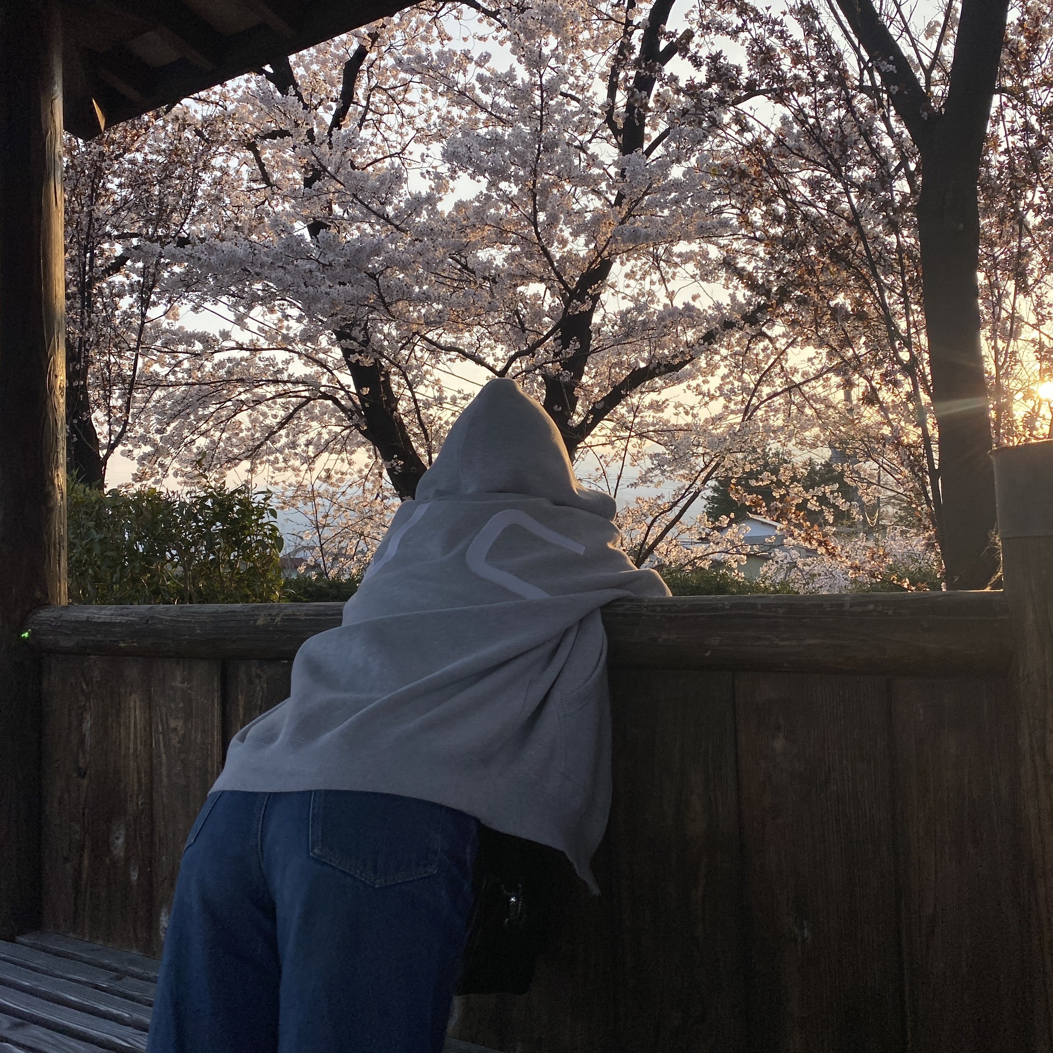 吾妻パーキングエリア(下り)