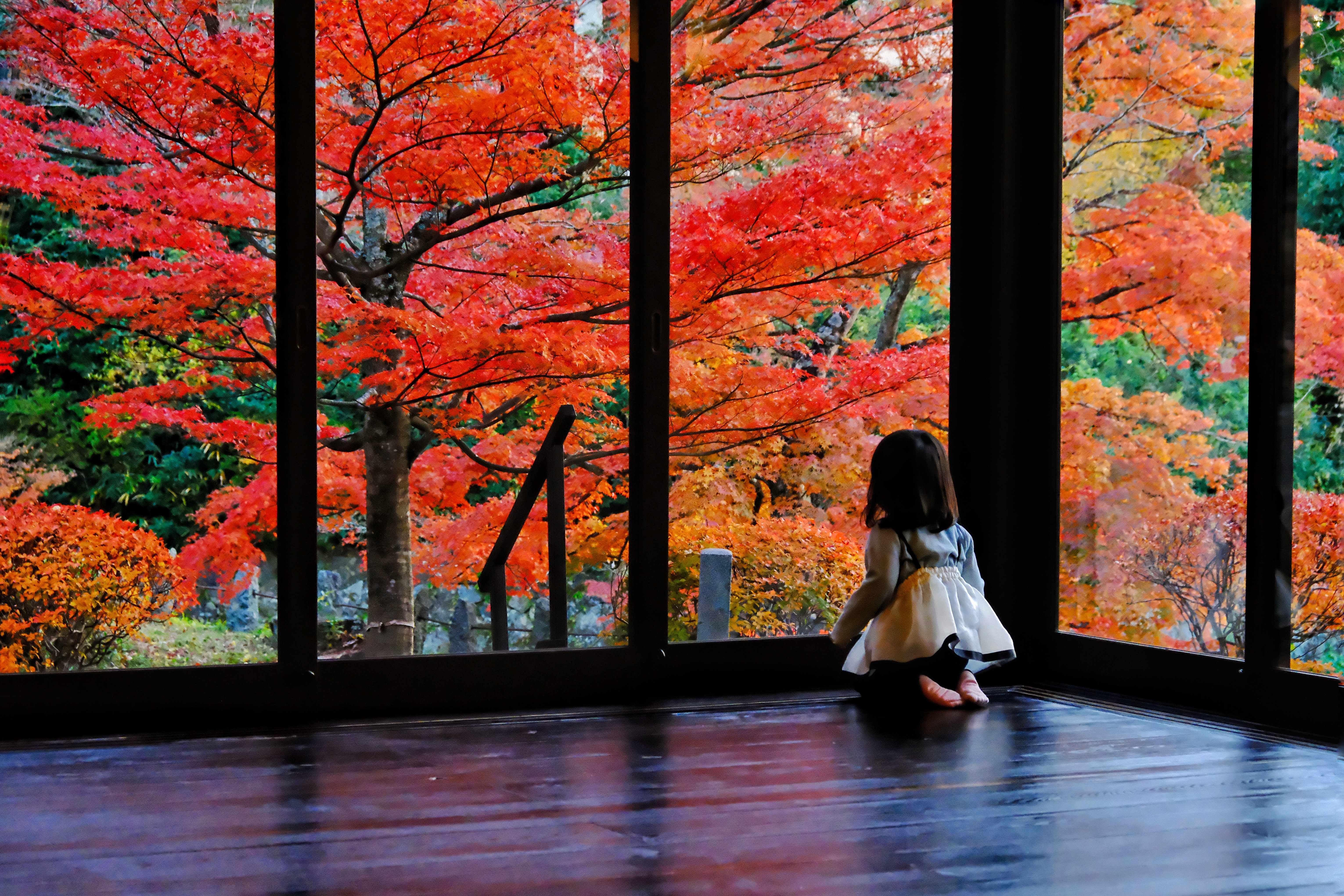 No.115 文知摺観音